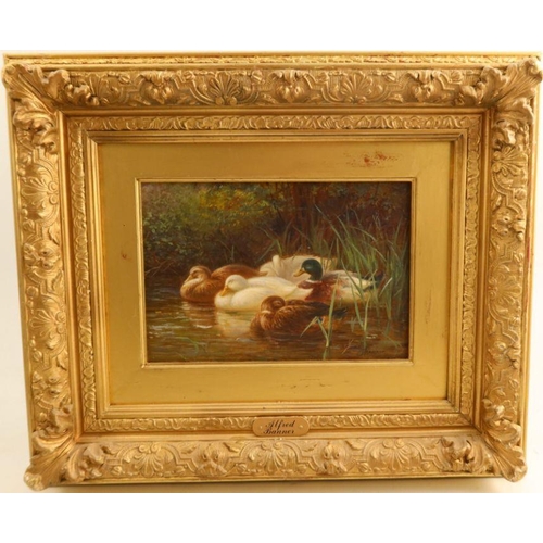 213 - Alfred Banner, oil on canvas, Forty Winks, sleeping ducks on water, 7ins x 10ins