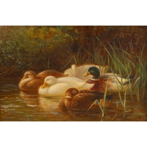 213 - Alfred Banner, oil on canvas, Forty Winks, sleeping ducks on water, 7ins x 10ins