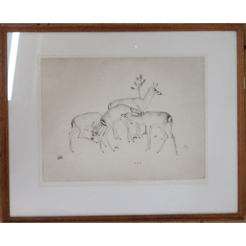 181 - Robert Sargent Austin RA, black and white etching, four deer, 9.25ins x 12ins