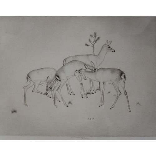 181 - Robert Sargent Austin RA, black and white etching, four deer, 9.25ins x 12ins