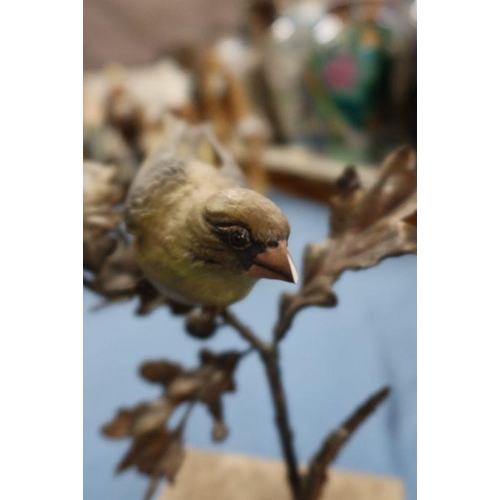 273 - Two Albany Fine China bronze and porcelain models, Greenfinch and Linnets, together with two other b... 