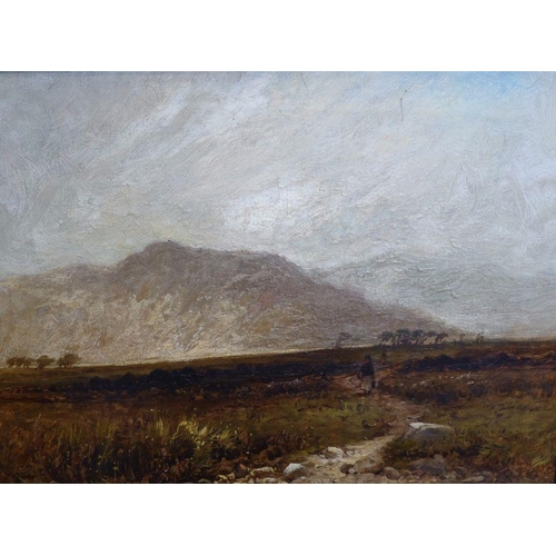 345 - A 19th century oil on canvas, moorland landscape with figure, signed, 12ins x 16ins