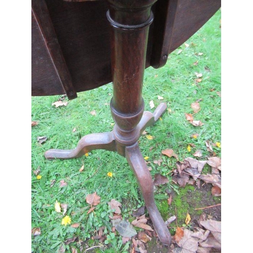 108 - A 19th century oak tripod table, diameter 30ins