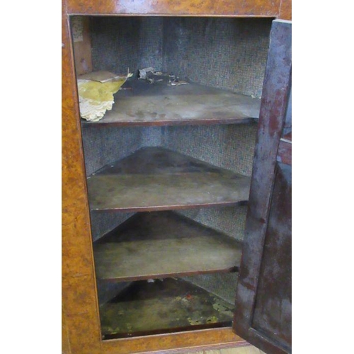 129 - A 19th century possible burr elm corner cupboard