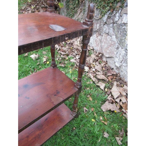 14 - A 19th century mahogany set of shelves, width 25ins, height 26ins