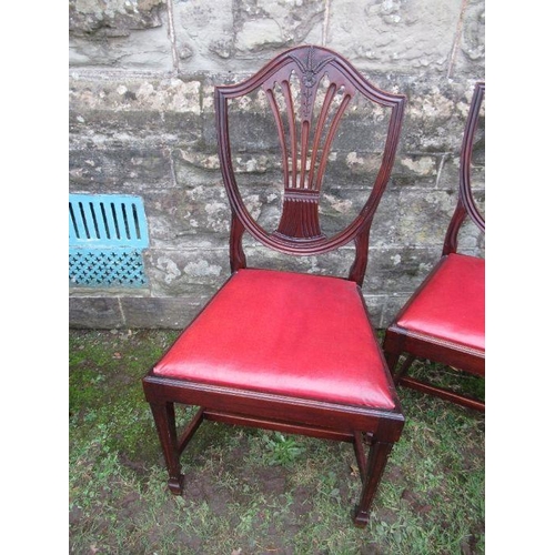 2 - Three mahogany shield back dining chairs, carved with ears of wheat, together with another