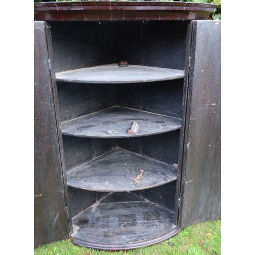 59 - A 19th century mahogany barrel front corner cupboard, fitted with shelves, height 39.5ins, width 28i... 