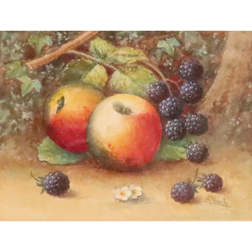 690 - A Shuck, watercolour, still of fruit to a mossy background, 4.25ins x 5.75ins