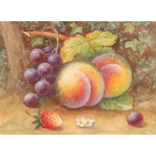 691 - A Shuck, watercolour, still of fruit to a mossy background, 4.25ins x 5.75ins