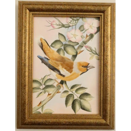 717 - A Royal Worcester framed rectangular porcelain plaque, decorated with a bird on a flowering branch, ... 