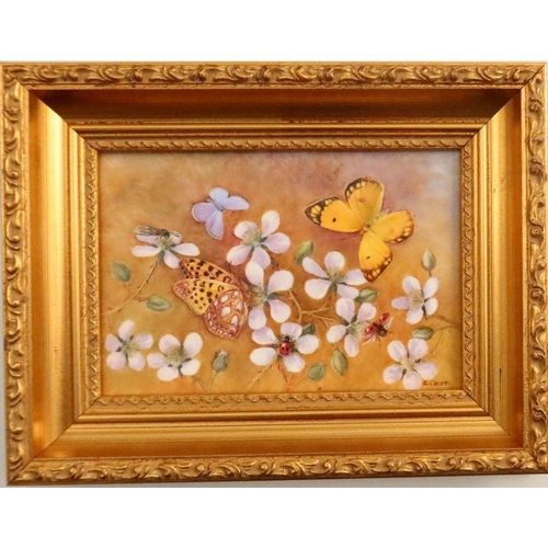 718 - A Royal Worcester framed rectangular porcelain plaque, decorated with butterflies, ladybirds and flo... 