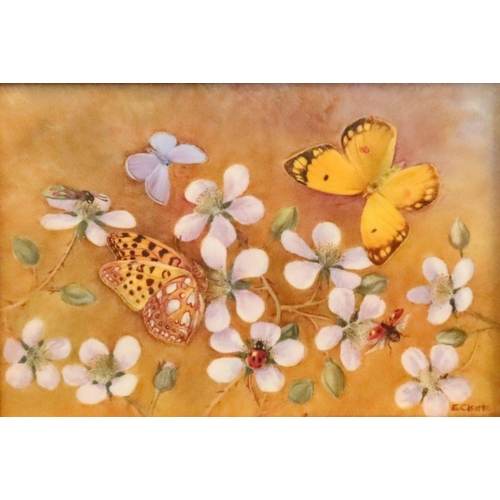 718 - A Royal Worcester framed rectangular porcelain plaque, decorated with butterflies, ladybirds and flo... 