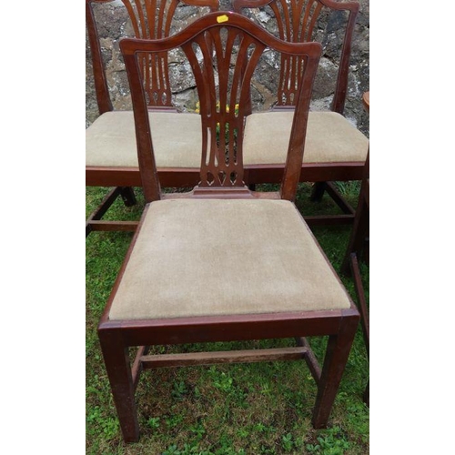 72 - A set of 6 (4+2) mahogany dining chairs, with pierced splats and drop in seats