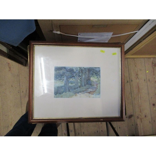 Lot 157       