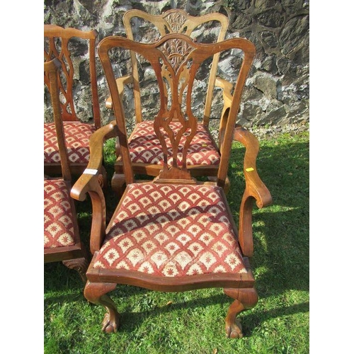 18 - A set of eight (6 & 2) 19th century style dining chairs, with pierced splat backs and drop in seats