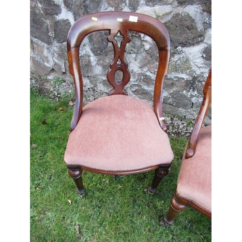 25 - A pair of 19th century mahogany chairs