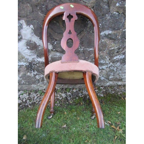 25 - A pair of 19th century mahogany chairs