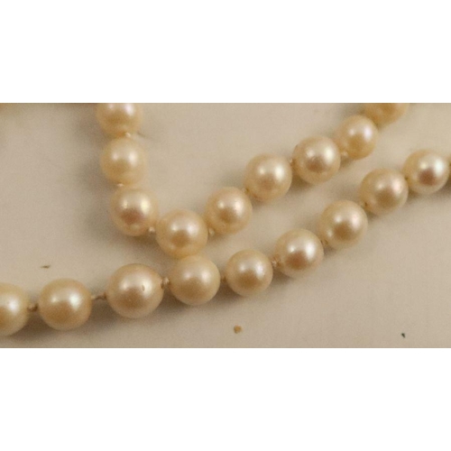 481 - A single row cultured pearl necklace with yellow metal box clasp set oral cut amethyst