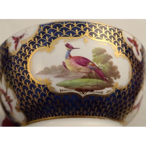 579 - A pair of Chamberlains Worcester plates, decorated with fabulous birds and insects in reserves to a ... 