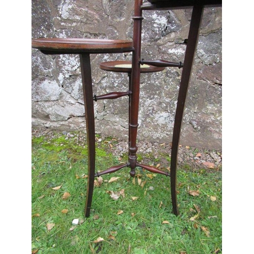 60 - A mahogany three tiered cake stand, with central handle and three circular dishes at different heigh... 