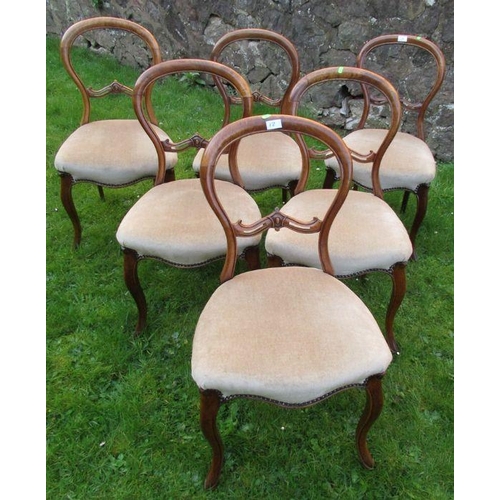 12 - A set of six 19th century mahogany balloon back dining chairs