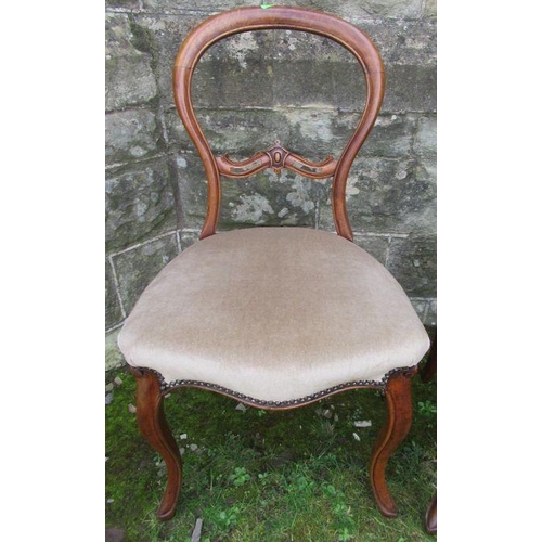 12 - A set of six 19th century mahogany balloon back dining chairs