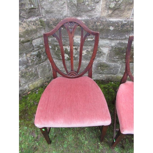 27 - A pair of 19th century design dining chairs ,