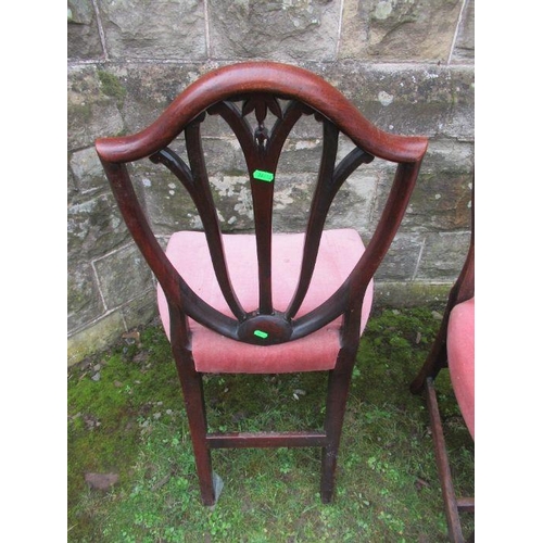 27 - A pair of 19th century design dining chairs ,