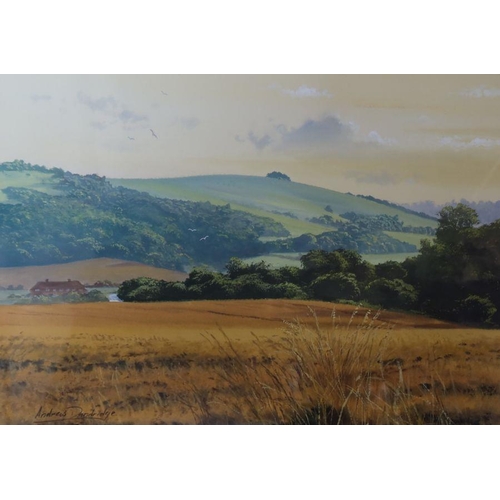 107 - Andrew Dandridge, watercolour, Evening Light on Harting Down, 11ins x 14ins