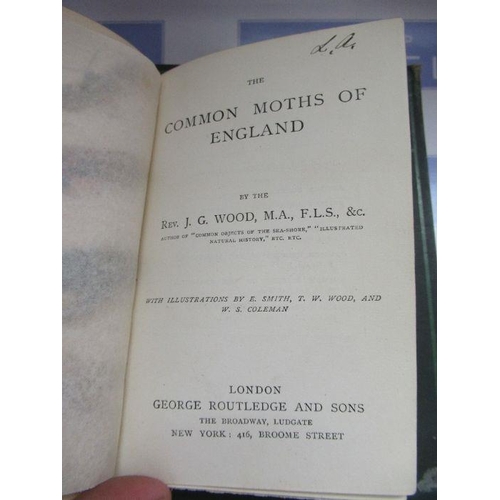 179 - 'Allotment Gardening' by William Good, F.R.H.S, Gresham Publishing Co. Ltd, 1922, 'The Common Moths ... 