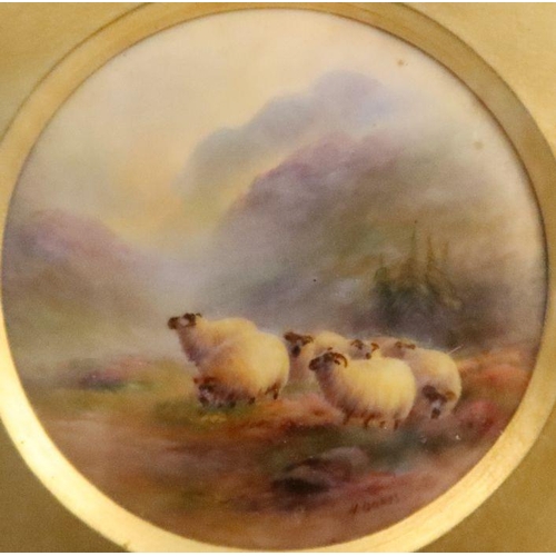 384 - A framed Royal Worcester circular plaque, painted with six sheep in a Highland setting by Harry Davi... 