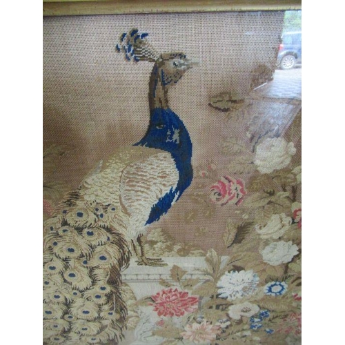 71 - A 19th century gilt framed fire screen, the tapestry panel decorated with a peacock within a landsca... 