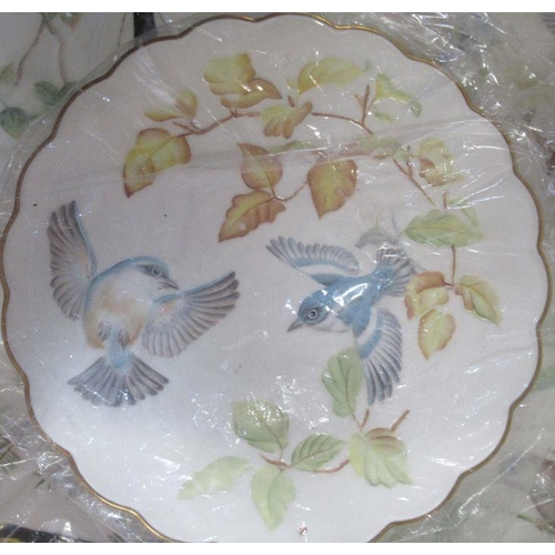 167 - 11 Royal Worcester Dorothy Doughty bird plates