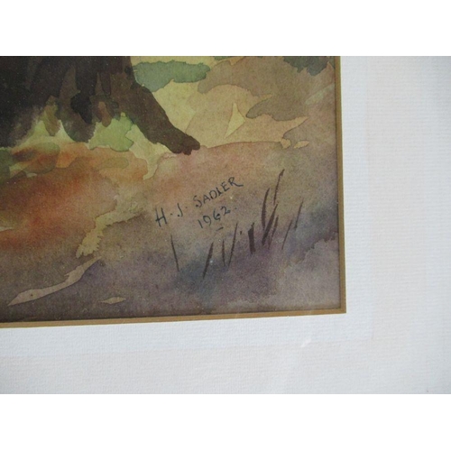 217 - H J Saddler, two watercolours, views through trees, 14ins x 21.5ins