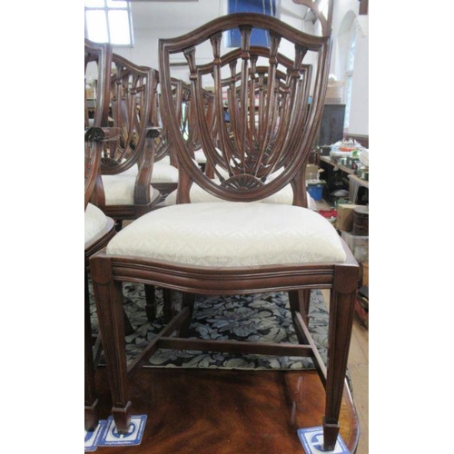 34 - A set of 12 (10+2) reproduction mahogany dining chairs with carved decoration  - no fire lables