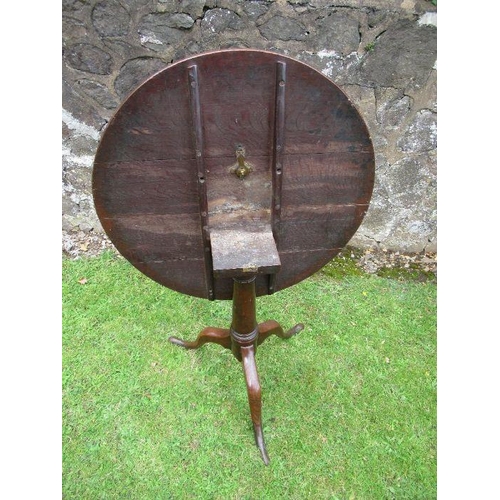 52 - A 19th century oak tilt top tripod table, diameter 30ins