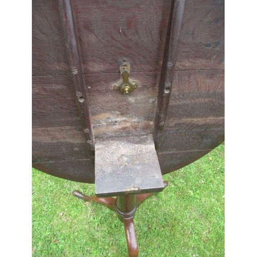 52 - A 19th century oak tilt top tripod table, diameter 30ins