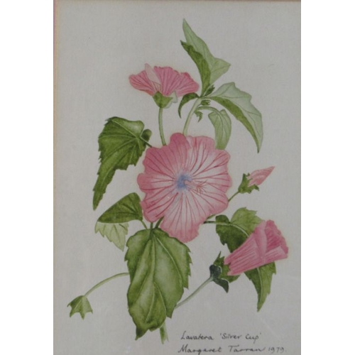 109 - Margaret Tarran, three watercolours, botanical studies, together with Susan Shaw, watercolour, leave... 