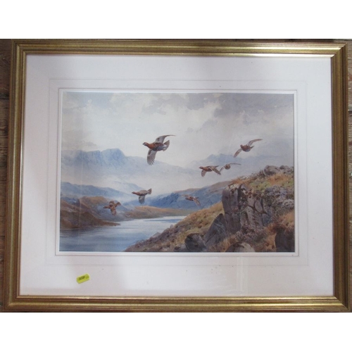 112 - J C Harrison, two watercolours, Covey of Grouse and Grouse off the Tops, 16ins x 22ins and 12ins x 1... 