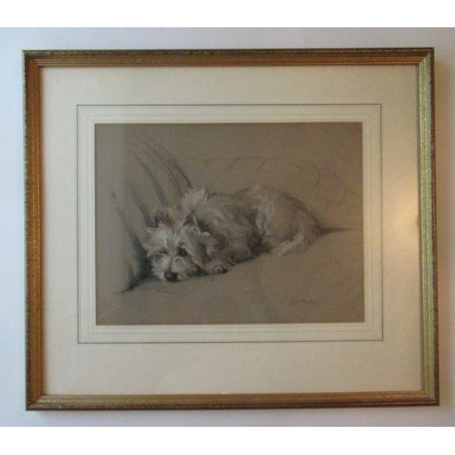 133 - Margorie Porter, pastel, The Artful Dodger, portrait of a dog, signed, 11ins x 14ins