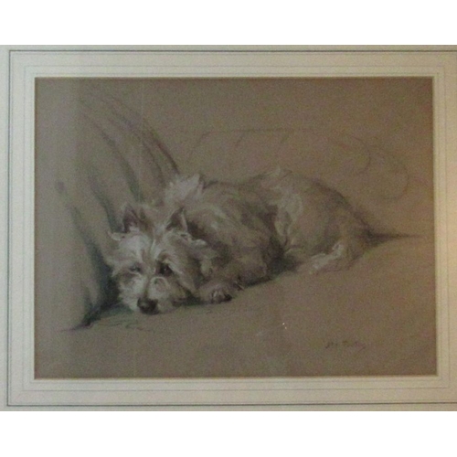 133 - Margorie Porter, pastel, The Artful Dodger, portrait of a dog, signed, 11ins x 14ins