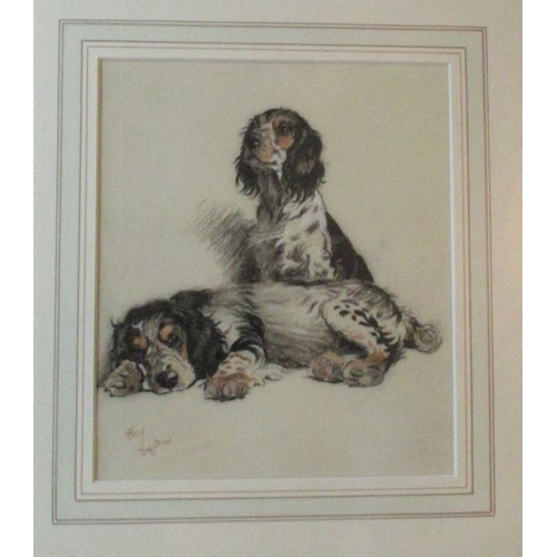 134 - Cecil Charles Windsor Aldin, black and red chalk, Cocker Spaniels, signed, 9ins x 7.5ins