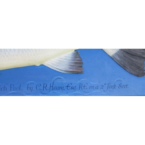 189 - A carved wooden half model of a fish, on a board, inscribed 37lbs caught at Carron, Morayshire on th... 