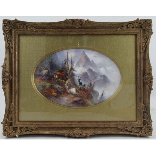 422 - A Royal Worcester framed oval porcelain plaque, decorated with mountain goats in an alpine landscape... 