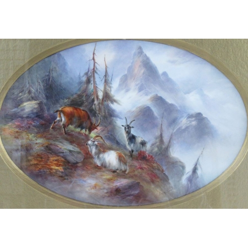 422 - A Royal Worcester framed oval porcelain plaque, decorated with mountain goats in an alpine landscape... 