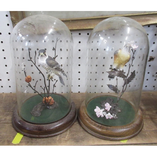 111 - A pair of Royal Worcester bronze and porcelain models, of birds, under glass domes, height 8ins