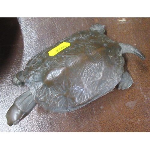 242 - A bronze model of a tortoise, tail af, length 7ins