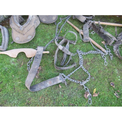 67 - A collection of vintage, antique horse harnesses , yokes etc  af