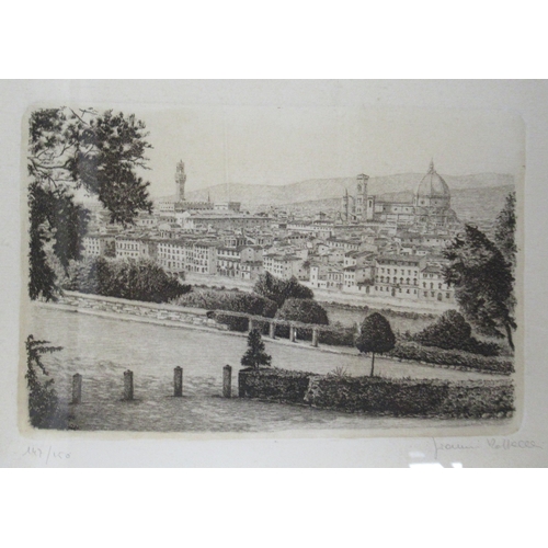 86 - Gianni Raffaelli, limited edition black and white etching, view of Florence, 11ins x 14.5ins