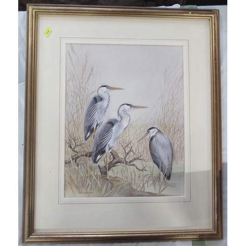 89 - Mary Clare Critchley Salmonson, watercolour, three herons in landscape, 17.5ins x 13.5ins